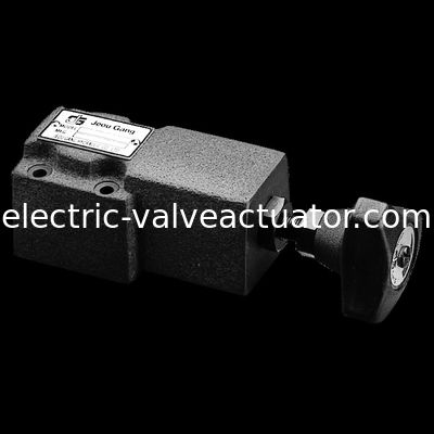 Un buen precio. Válvula de presión de la cuadrilla de Jeou de las válvulas de control de presión del alivio del control de DG.DT.Remote en línea