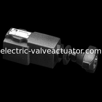 Un buen precio. Tipo válvulas de DG.DT.Direct de control de presión de las válvulas de descarga en línea