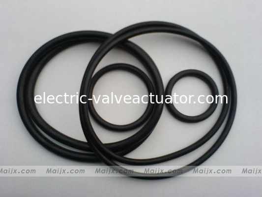 Un buen precio. NBR/flúor de la válvula de la central eléctrica del silicón - caucho - anillo o en línea