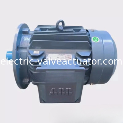 Un buen precio. M2QA200LB6 Motor asíncrono trifásico de 6 polos de 22 kW IC411 de autoenfriamiento en línea
