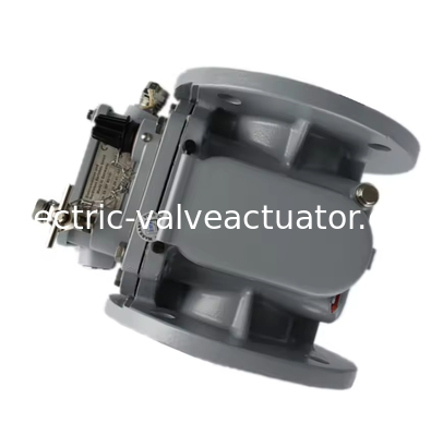 Un buen precio. Receptor de gas EMB de marca original BF80 10 09-1.25.28.41.0213 en línea