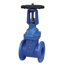 Un buen precio. ~ asentado resistente 2.5MPa de la presión 1.0 de la barra de la válvula de puerta de GB13927 Z44X/de RRHX Ming en línea