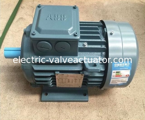 Un buen precio. M2BA Serie 380V IP55 NEMA Flang Foot Montado 3 Fases AC Motores eléctricos en línea