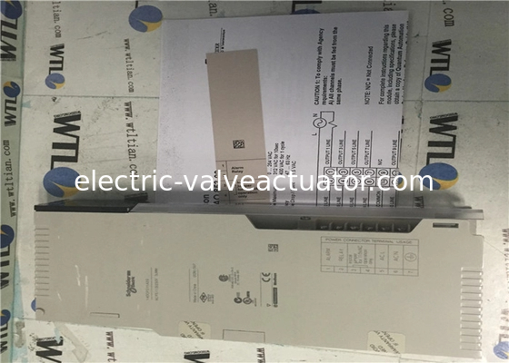 Un buen precio. Control de lógica programable de Schneider Electric 140CPS11420 módulo de alimentación en línea