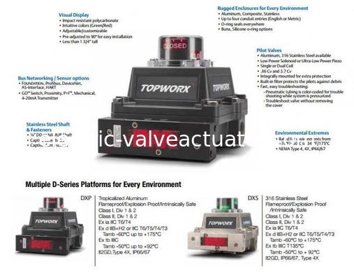 Un buen precio. Controlador Lógico Programable Emerson PLC NEMA Tipo 4 para Condiciones Ambientales Extremas DXP-MHCGNEB en línea