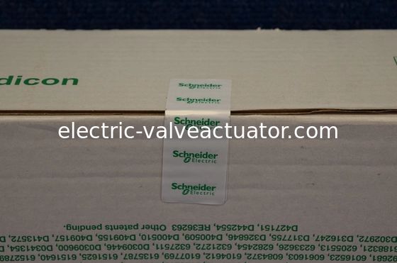 Un buen precio. Procesador de la ranura 80486 del PLC/de la CPU de 140CPU65260C Modicon Quantum solo con matemático en línea