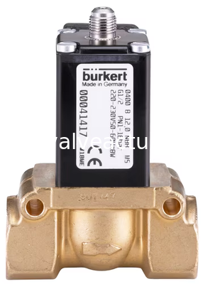 Un buen precio. Válvula de pistón de dos vías controlada por servo tipo 0400 de Burkert para operaciones de procesos automatizados en línea